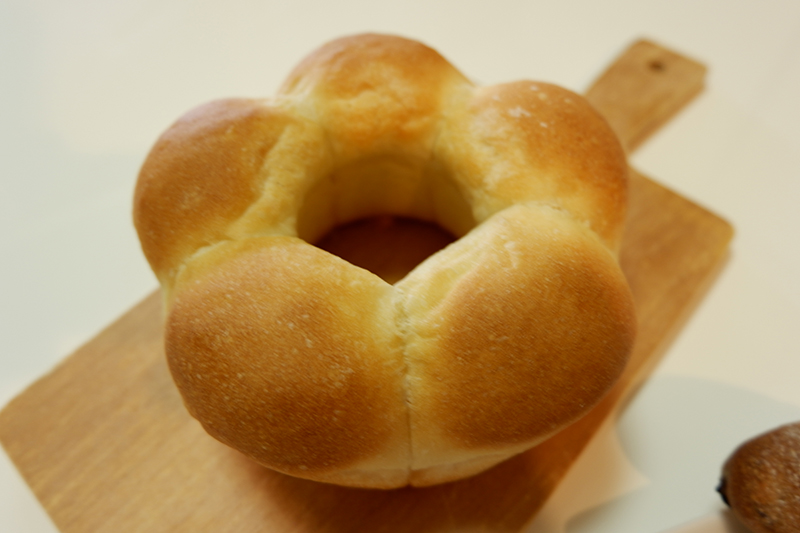 体験レッスン